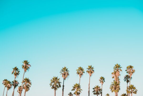Photo Export Checklist