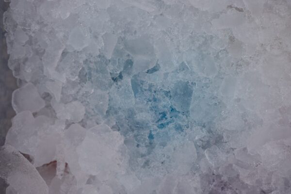 Photo Kirim Produk Frozen